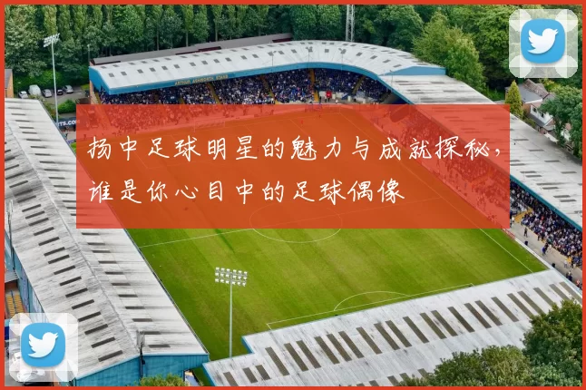 扬中足球明星的魅力与成就探秘，谁是你心目中的足球偶像