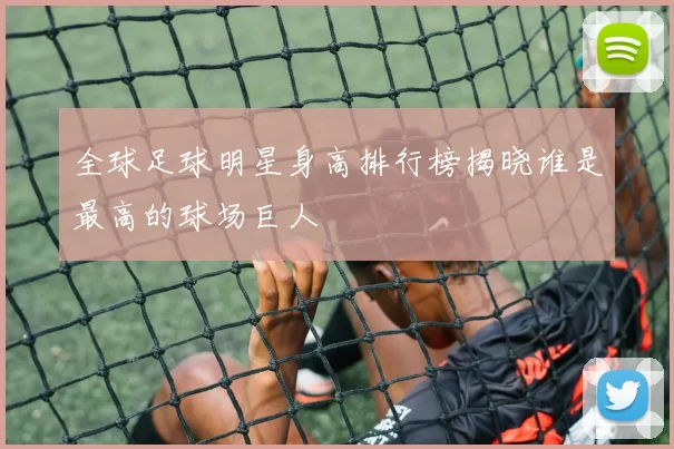 全球足球明星身高排行榜揭晓谁是最高的球场巨人