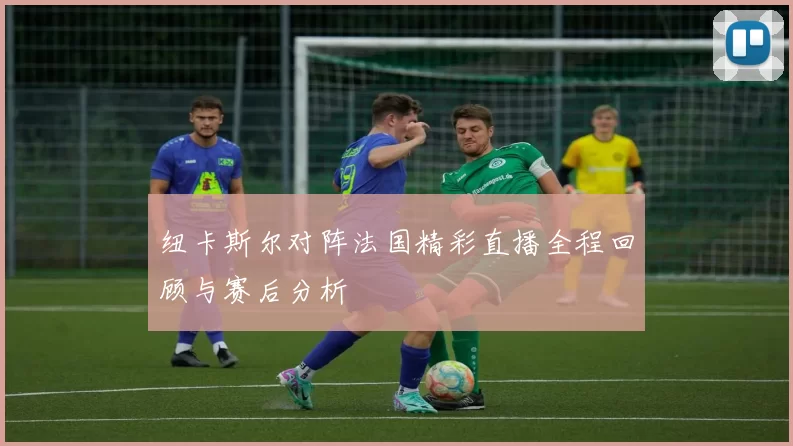 纽卡斯尔对阵法国精彩直播全程回顾与赛后分析