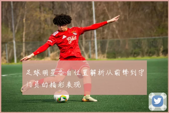 足球明星各自位置解析从前锋到守门员的精彩表现