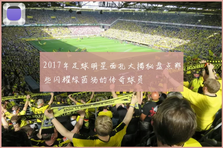 2017年足球明星面孔大揭秘盘点那些闪耀绿茵场的传奇球员