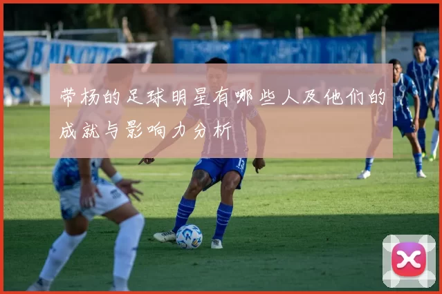 带杨的足球明星有哪些人及他们的成就与影响力分析