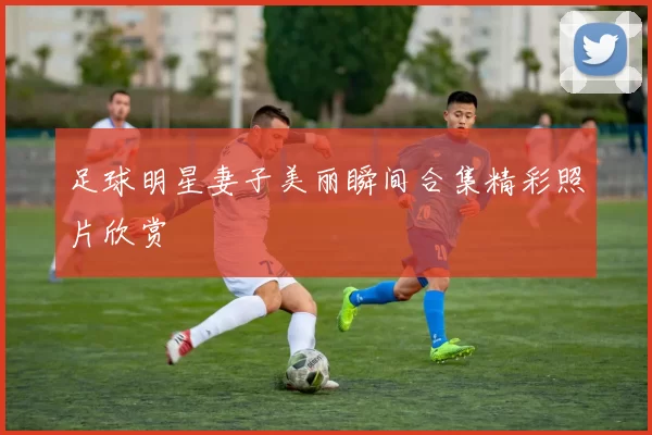 足球明星妻子美丽瞬间合集精彩照片欣赏