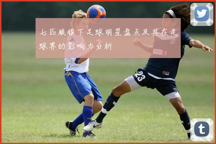 七匹狼旗下足球明星盘点及其在足球界的影响力分析