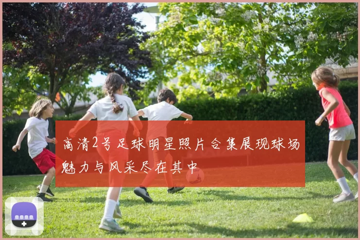 高清2号足球明星照片合集展现球场魅力与风采尽在其中