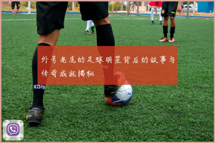 外号老虎的足球明星背后的故事与传奇成就揭秘