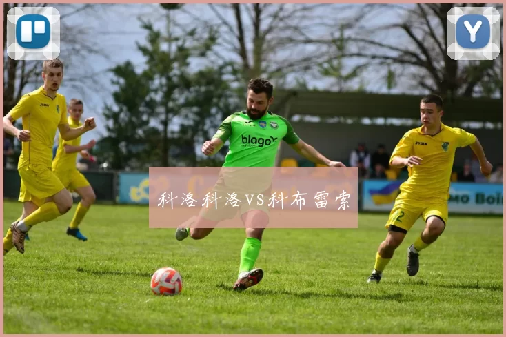 科洛科洛vs科布雷索